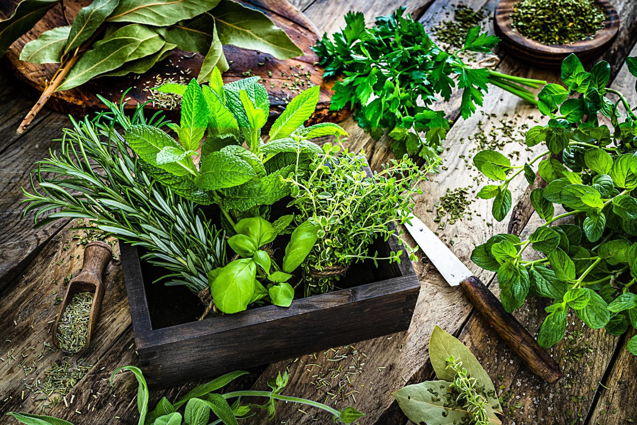 Herbs